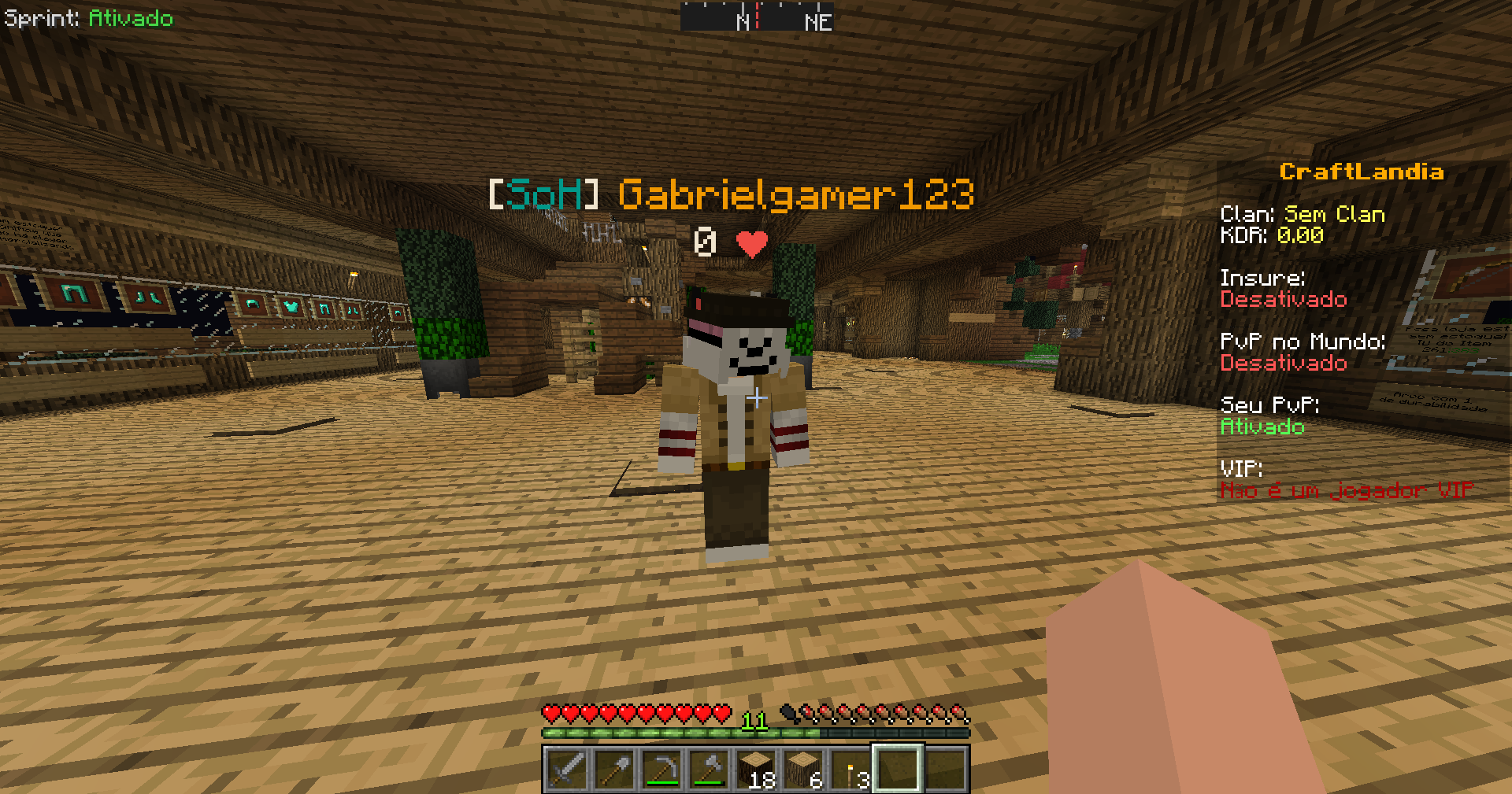 Player with custom skin and cape
